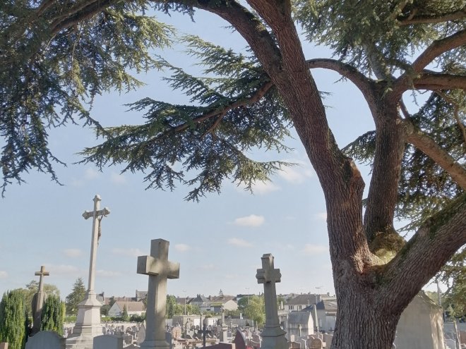 Cimetière Argentan