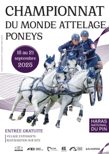 AFFICHE CHPW 25-1