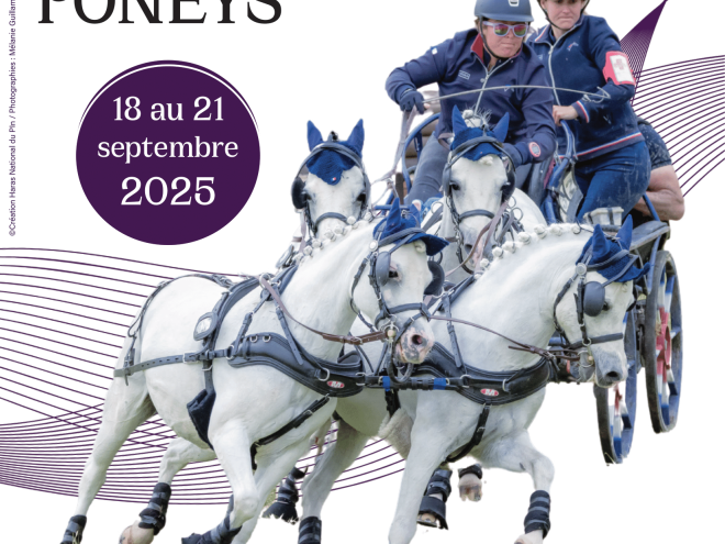 AFFICHE CHPW 25-1