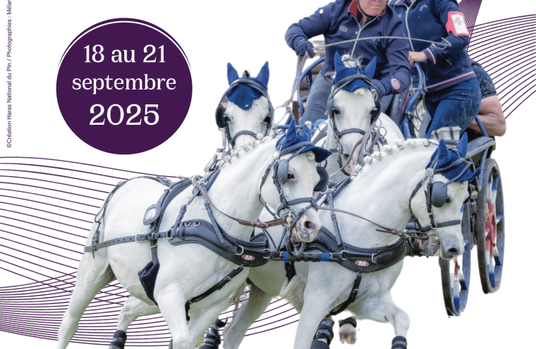 AFFICHE CHPW 25-1