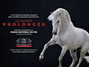 Les Instants Prolongés HNDP tourinsoft