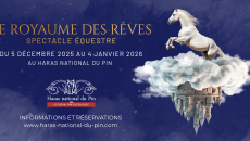 Le Royaume des Reves_CMS 1140X560