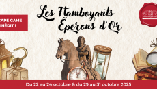 CMS_Escape Game.pdf (1140 x 560 px) (003)-1