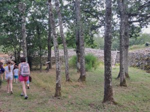 Visite guidée Camp celtique 800x600