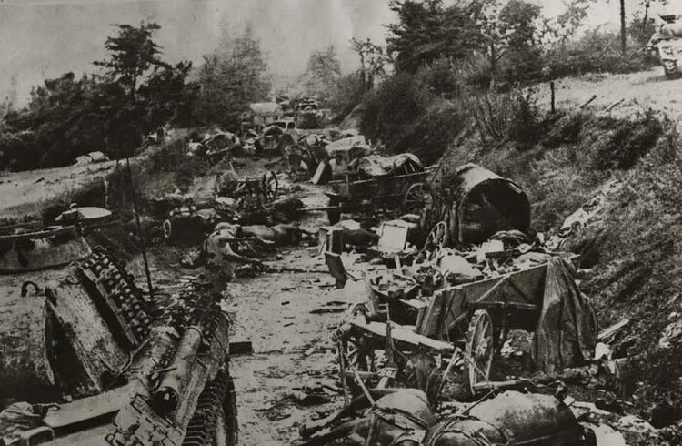 Visite guidée - La Poche de Falaise-Chambois