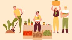 Marché bio à Argentan
