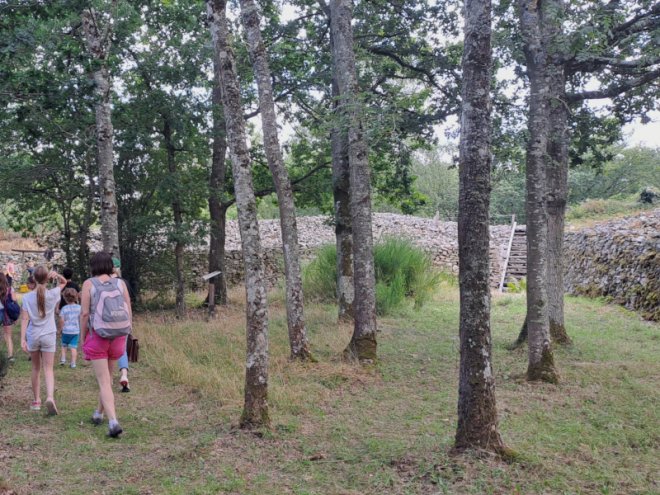Visite guidée Camp celtique 800x600